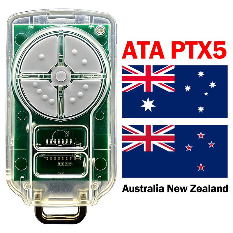 ATA PTX5 V2 PTX 5V1 5V2 2V1 2V - Diy Electronics Button recensione e prezzo