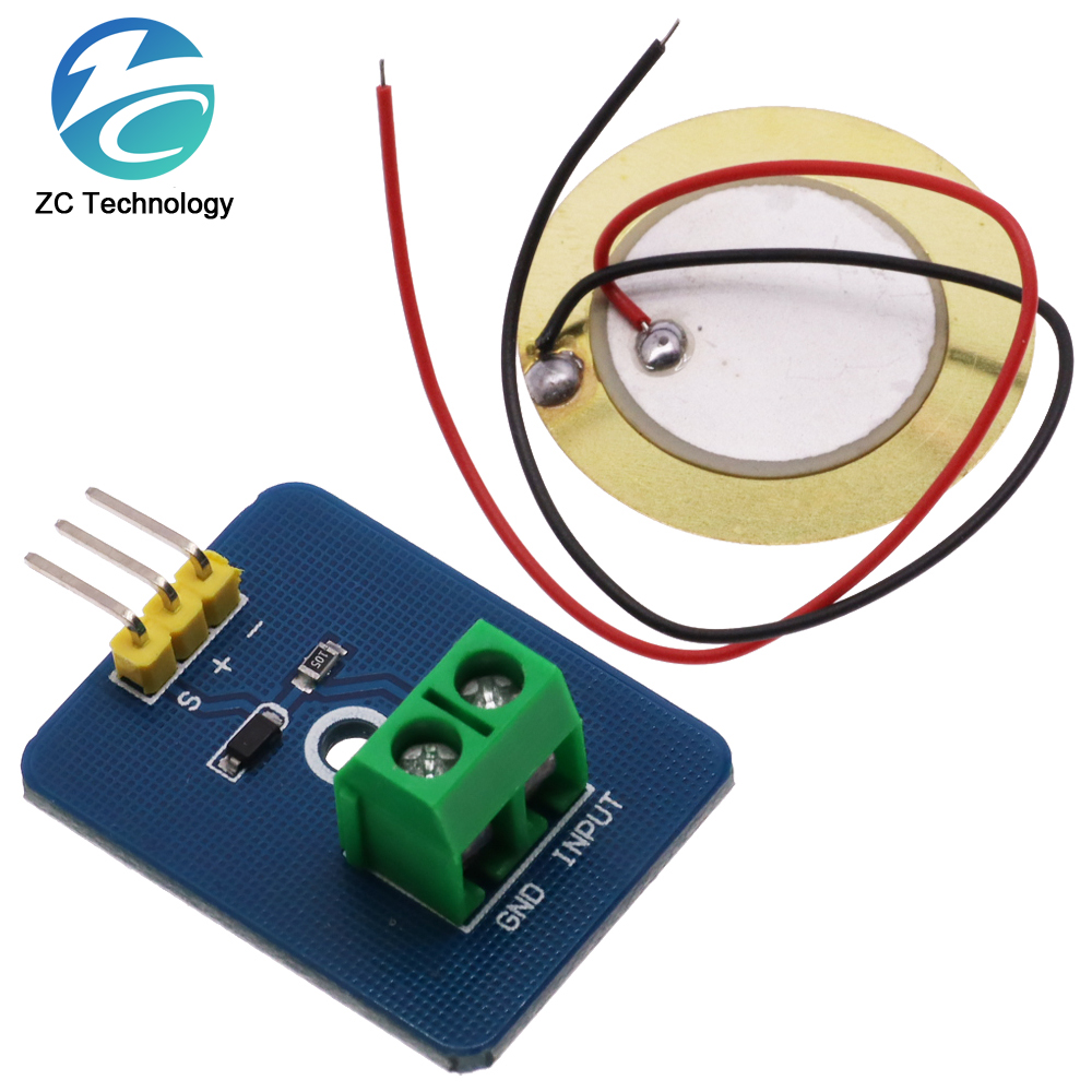 DIY KIT 3.3V/5V Ceramic Piezo  - Diy Analog Electronics recensione e prezzo