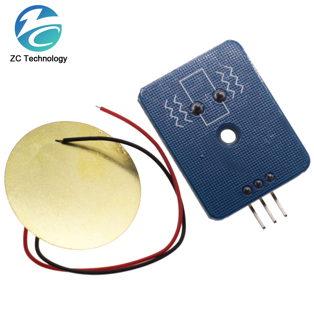 DIY KIT 3.3V/5V Ceramic Piezo  - Diy Analog Electronics recensione e prezzo
