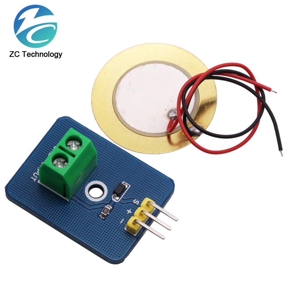 DIY KIT 3.3V/5V Ceramic Piezo  - Diy Analog Electronics recensione e prezzo
