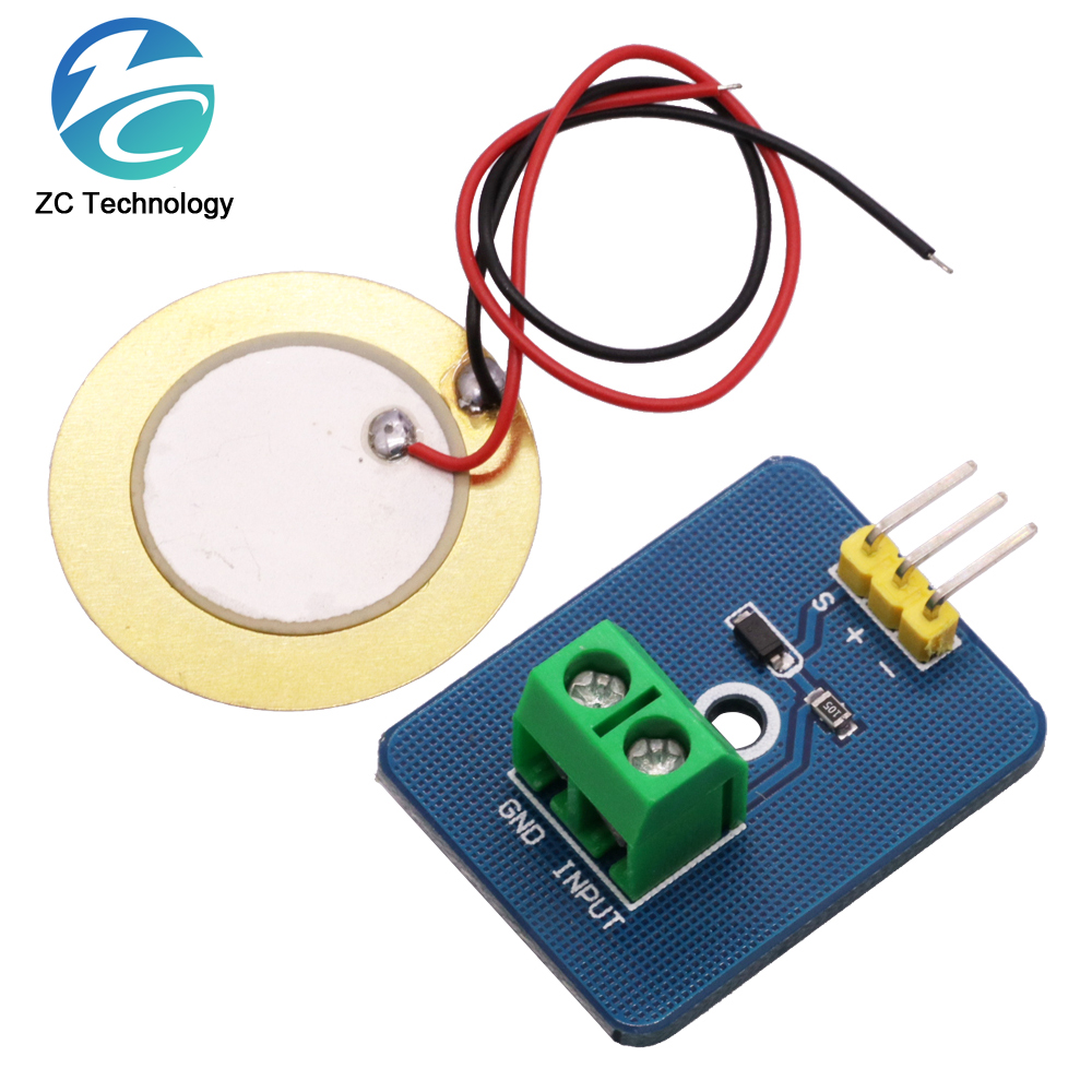 DIY KIT 3.3V/5V Ceramic Piezo  - Diy Analog Electronics recensione e prezzo
