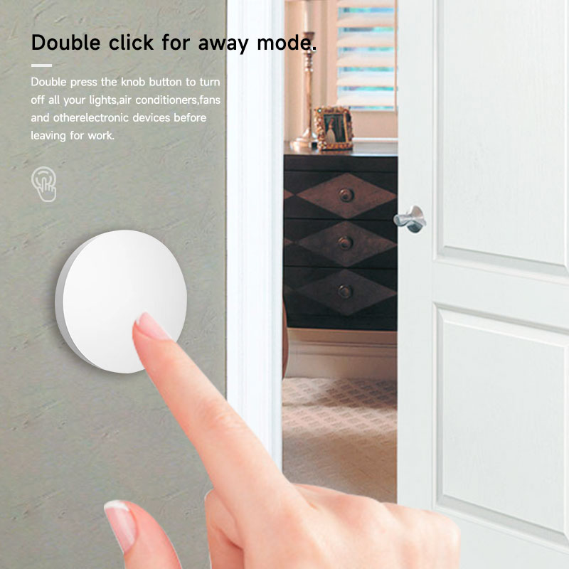 Zigbee3.0 2MQTT Smart Button S - Diy Electronics Button recensione e prezzo